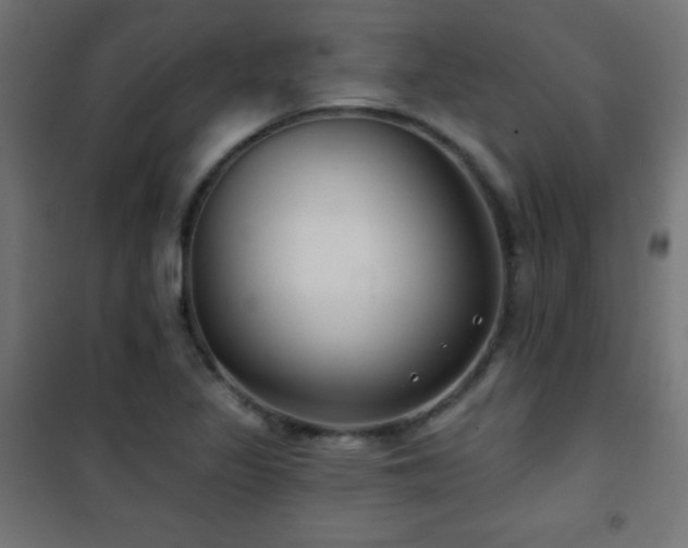 X0000101451317200807071356