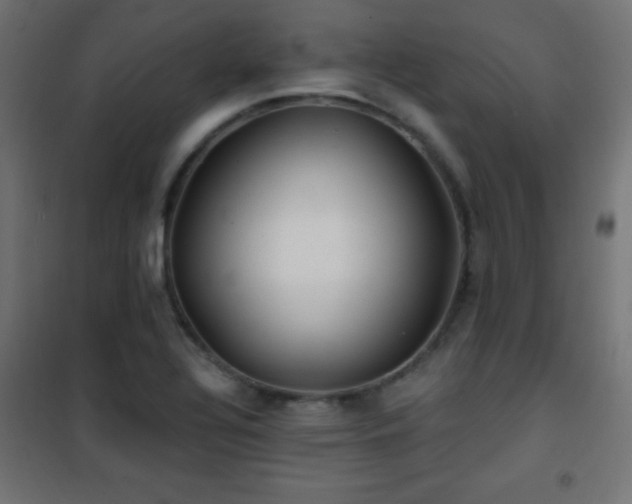 X0000101451320200807071356