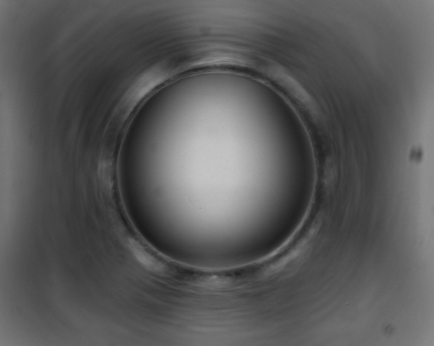 X0000101451321200807071356