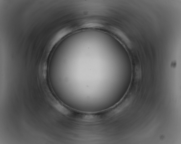 X0000101451322200807071356