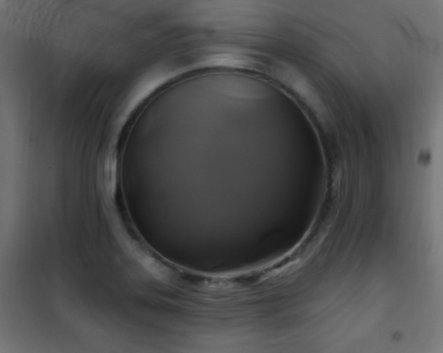 X0000101451323200807071356