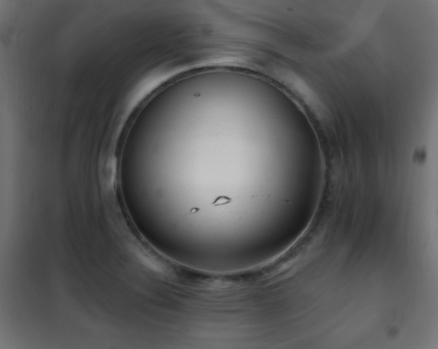 X0000101451324200807071356