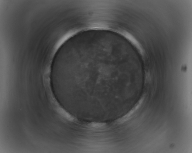 X0000101451325200807071356