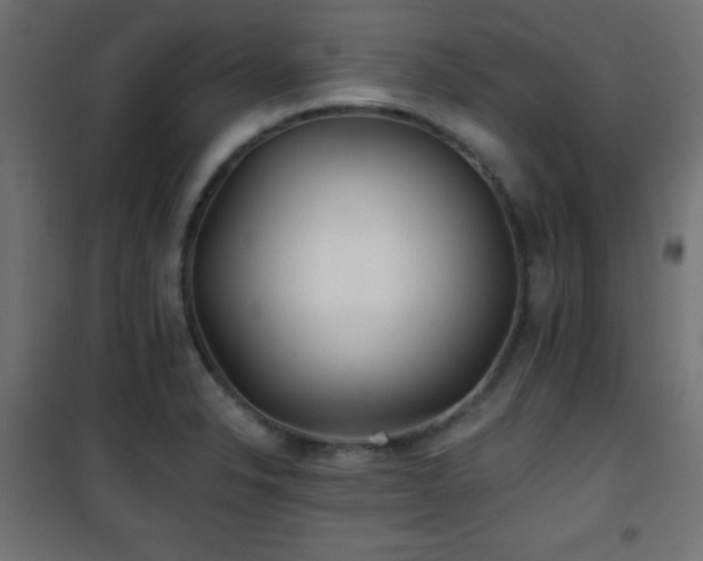 X0000101451326200807071356
