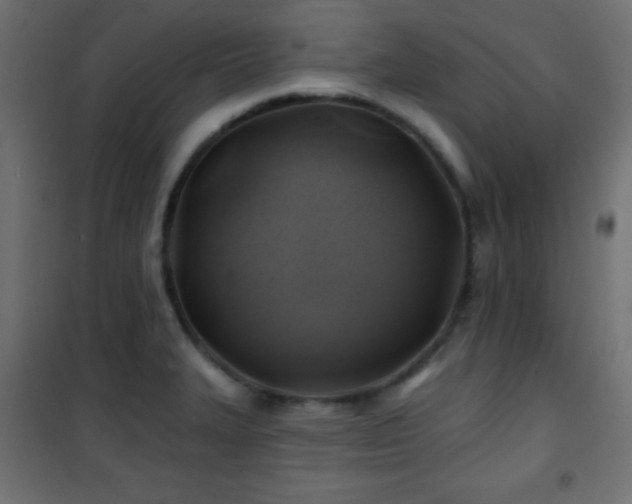 X0000101451327200807071356