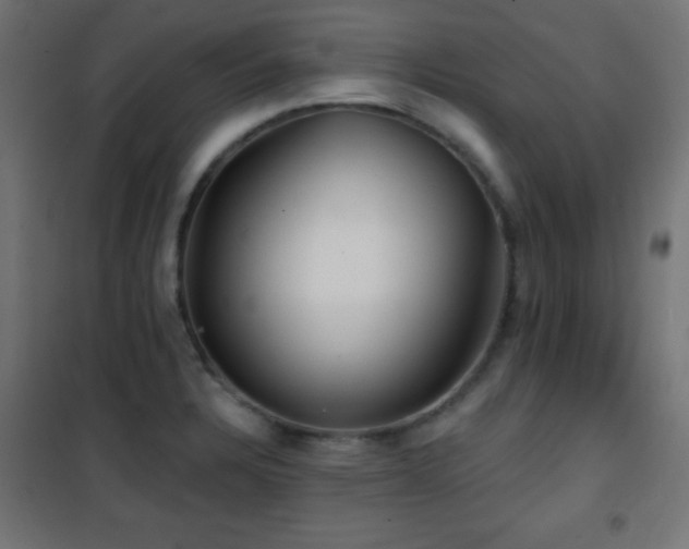 X0000101451328200807071356