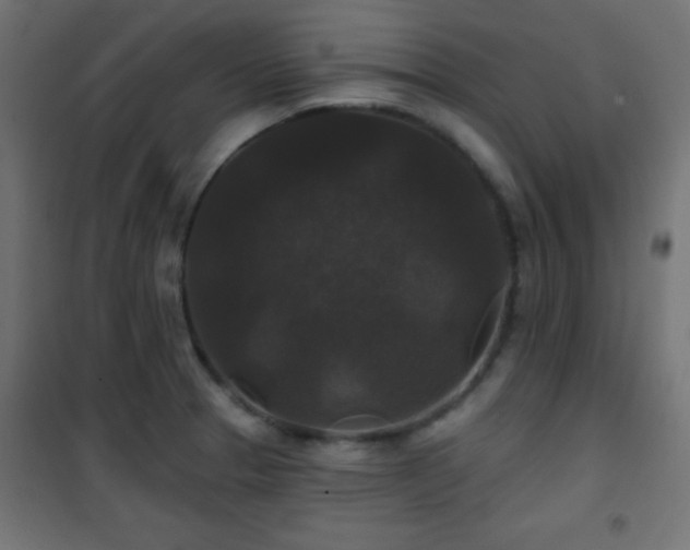 X0000101451329200807071356