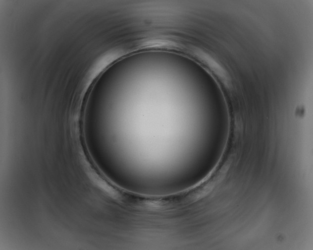 X0000101451330200807071356