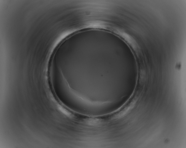 X0000101451331200807071356