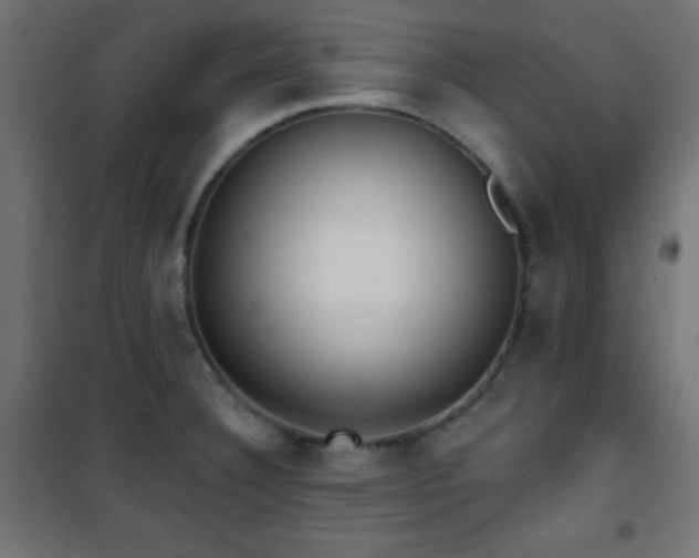 X0000101451332200807071356