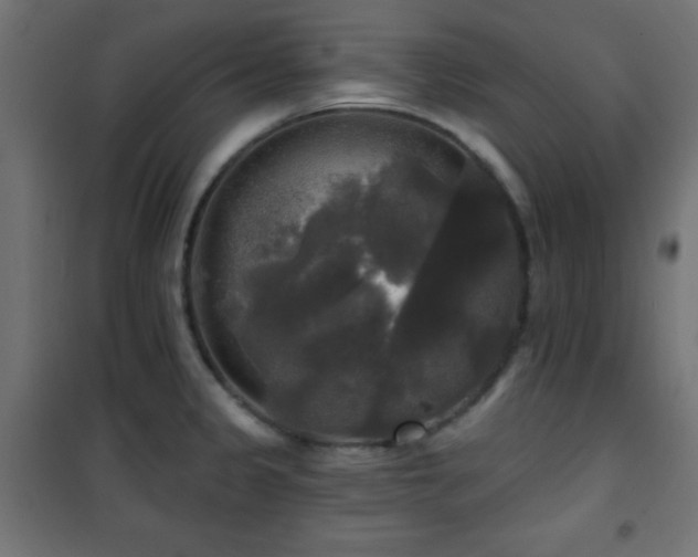X0000101451333200807071356
