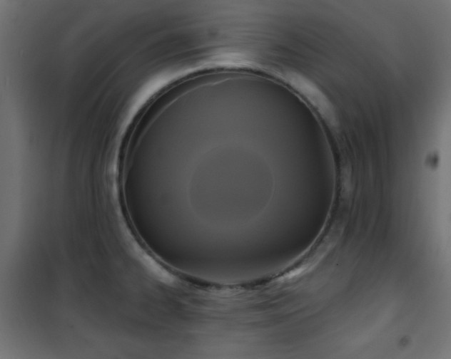 X0000101451334200807071356
