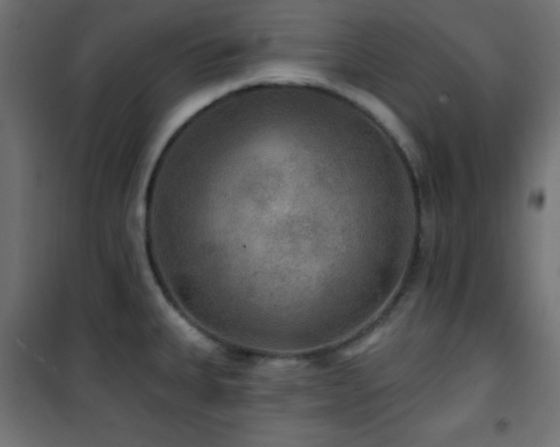 X0000101451335200807071356