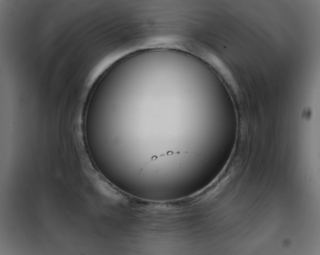 X0000101451336200807071356