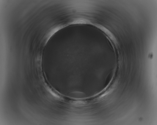 X0000101451337200807071356