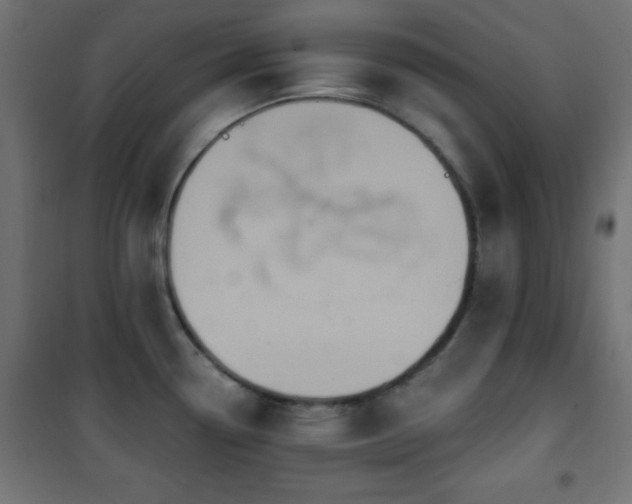 X0000101451338200807071356