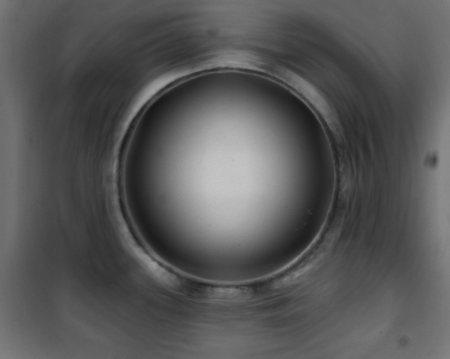 X0000101451339200807071356