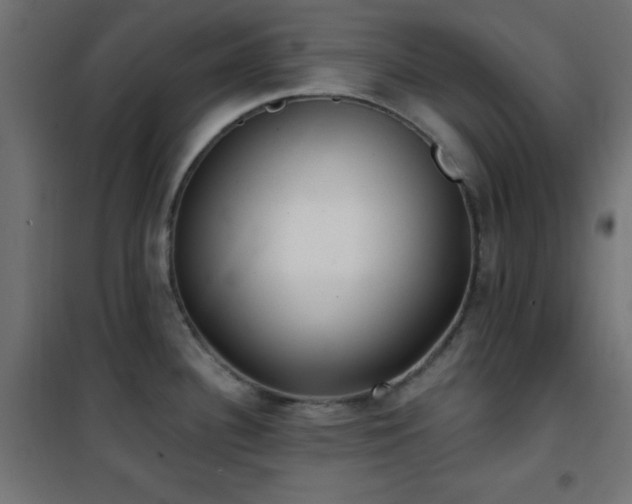 X0000101451340200807071356