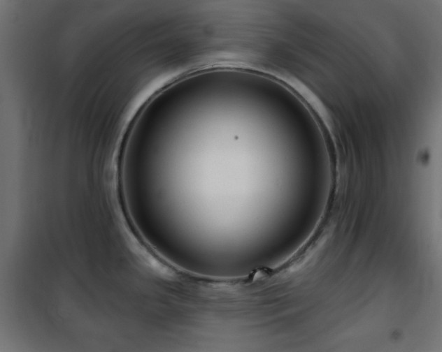 X0000101451341200807071356