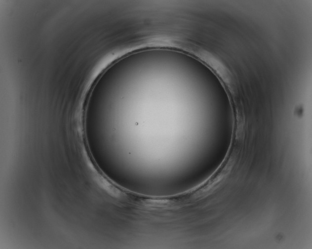 X0000101451342200807071356