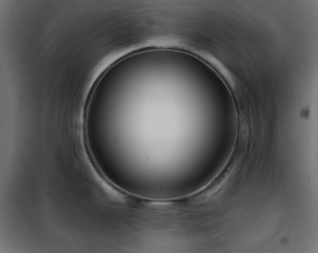 X0000101451343200807071356
