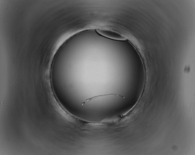 X0000101451344200807071356