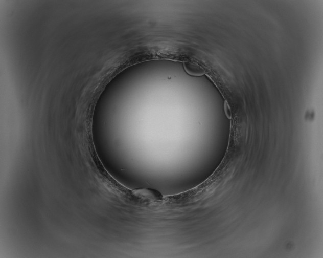 X0000101451345200807071355