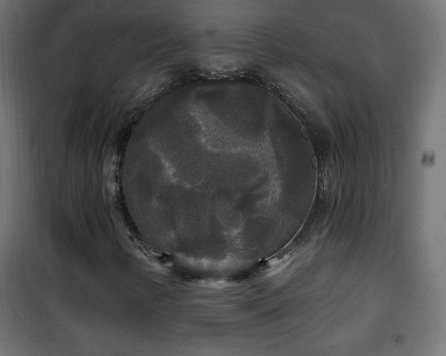 X0000101451346200807071355
