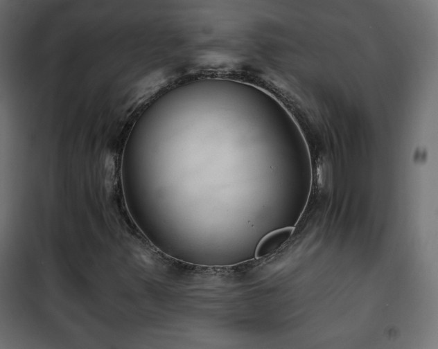 X0000101451347200807071355