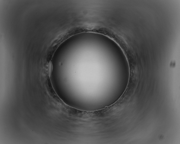 X0000101451349200807071355