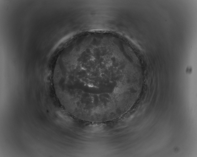 X0000101451351200807071355