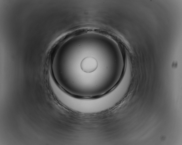 X0000101451352200807071355