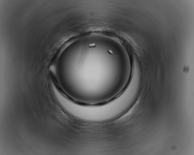 X0000101451353200807071355
