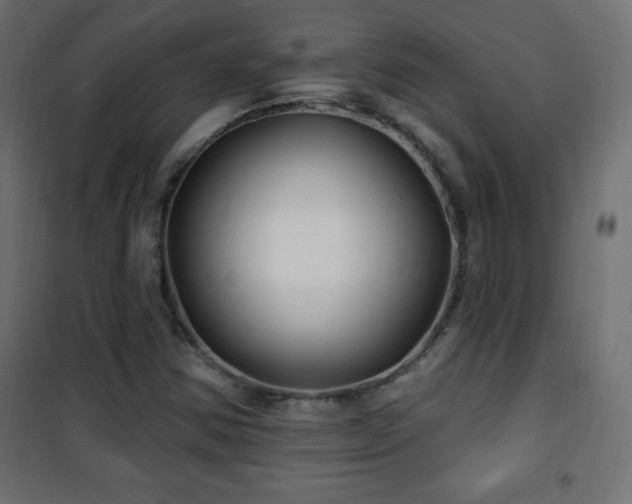 X0000101451354200807071355