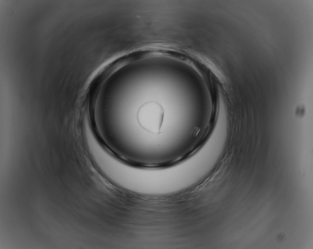 X0000101451356200807071355