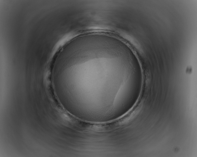 X0000101451357200807071355