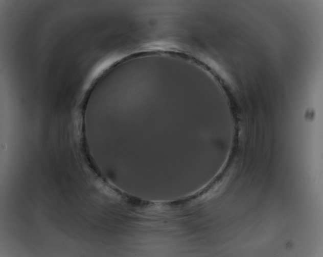 X0000101451358200807071355