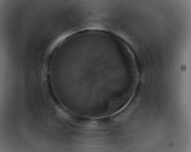 X0000101451359200807071355