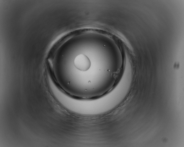 X0000101451360200807071355