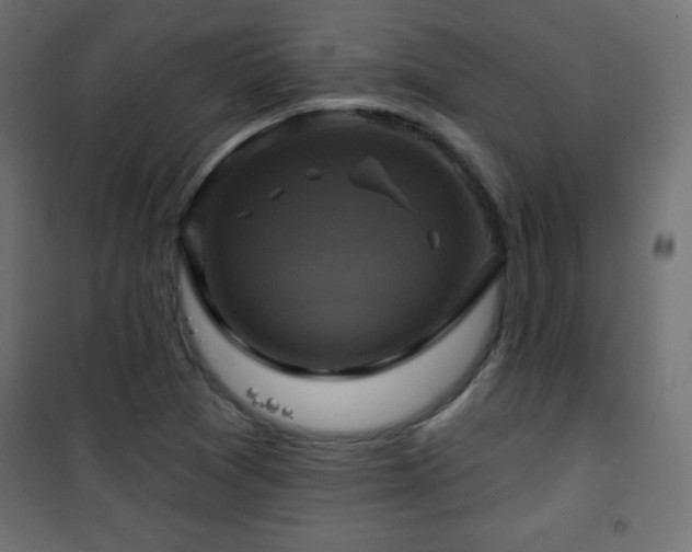 X0000101451361200807071355