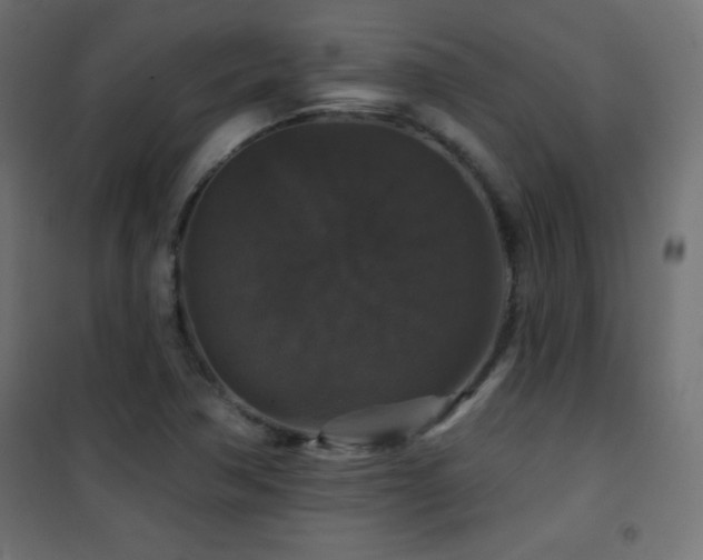 X0000101451362200807071355