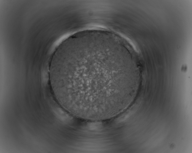 X0000101451363200807071355