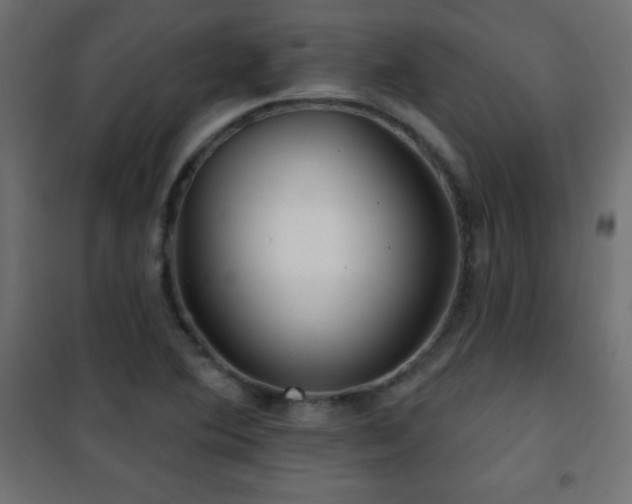 X0000101451364200807071355