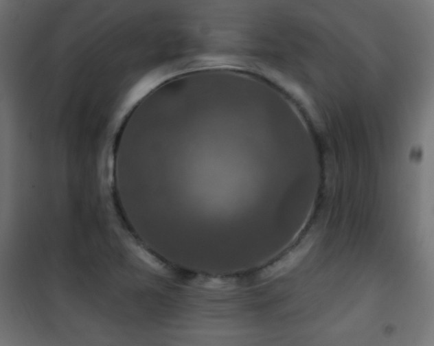 X0000101451365200807071355