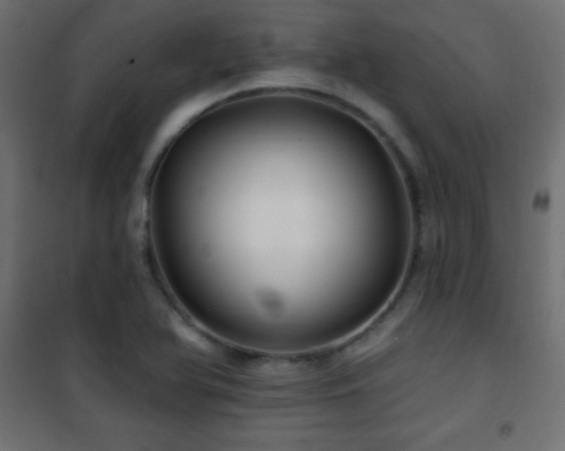 X0000101451366200807071355
