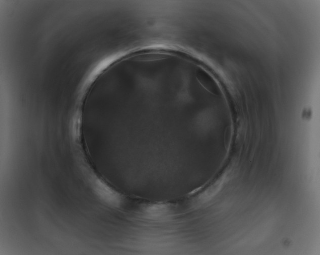 X0000101451367200807071355