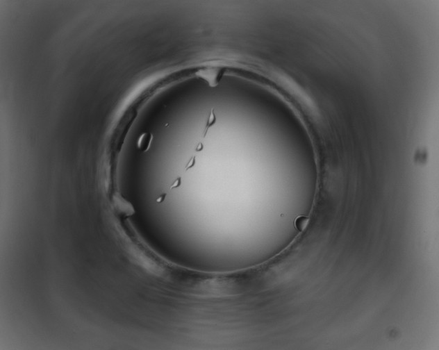 X0000101451368200807071355