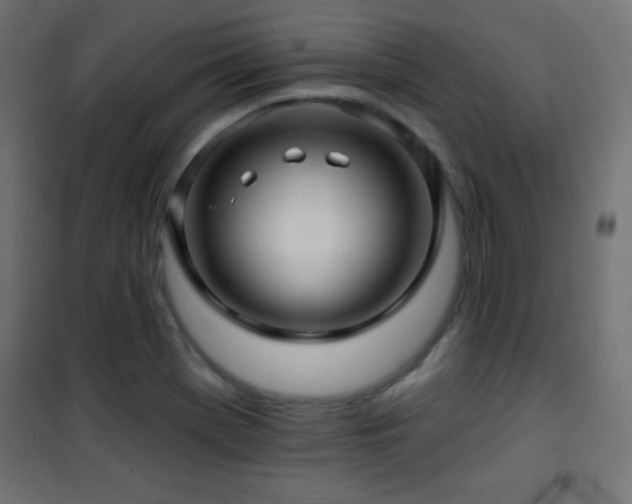 X0000101451369200807071355