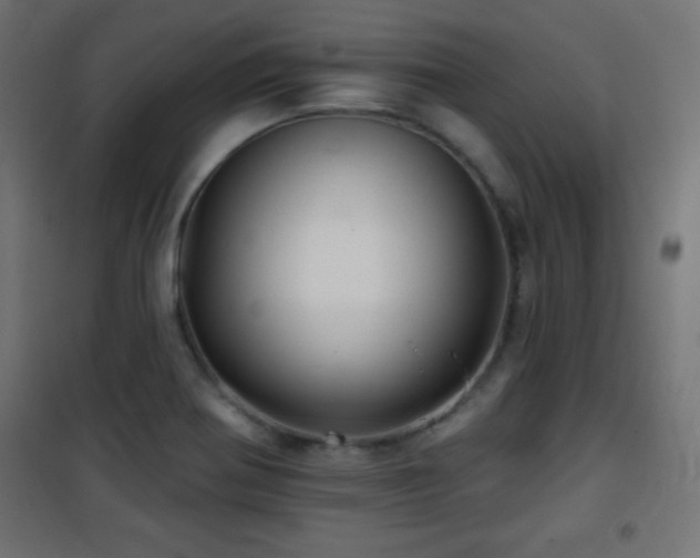 X0000101451370200807071355