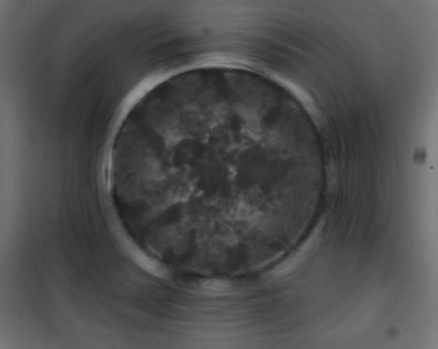 X0000101451371200807071355